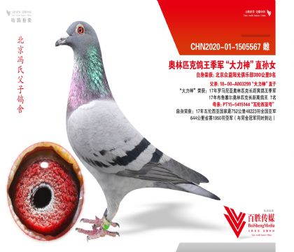 ��������9��������ƥ�˴����롰������ֱ��Ů-1505567