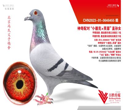 ��С�¿ˡ�ܽ�ء�ֱ��Ů-0646455