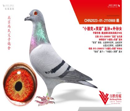 ��С�¿ˡ�ܽ�ء�ֱ�������Ů ���Ȼ�Ѫ-2110988