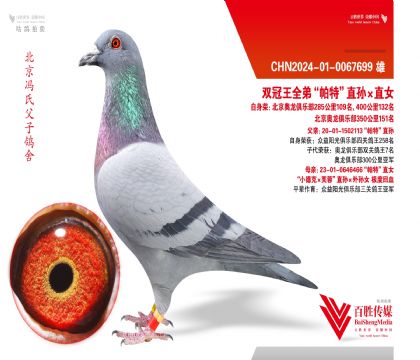 ˫����ȫ�ܡ����ء�ֱ���ֱŮ ���Ȼ�Ѫ-0067699