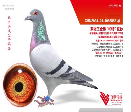 ˫����ȫ�ܡ����ء�ֱ��-1086852