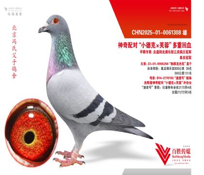 ��С�¿ˡ�ܽ�ء�����-0061308