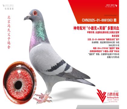 ��С�¿ˡ�ܽ�ء�����-0061363