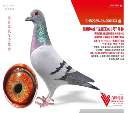 ���ȡ��ɸꡱѪϵ-0061374