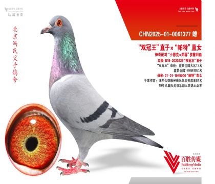 ��˫������ֱ�ӡ������ء�ֱŮ ���Ȼ�Ѫ-0061377