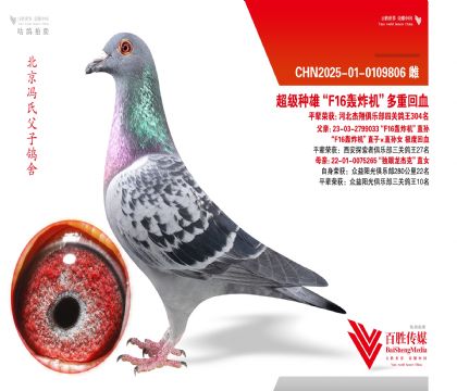 �������ۡ�F16��ը�������Ȼ�Ѫ-0109806