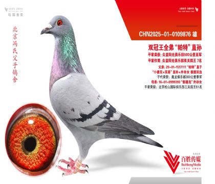 ˫����ȫ�ܡ����ء�ֱ��-0109876