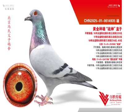 ��������ս��ֱ��-0614935