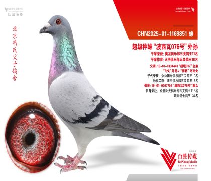 ���ȡ��ɸꡱѪϵ-1169851