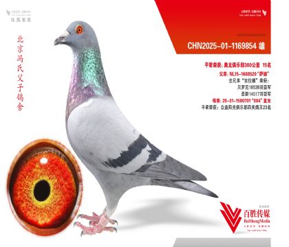 ��������������ȫ���Ǿ��������¡�ȫ�ֵ�ֱ��-1169854