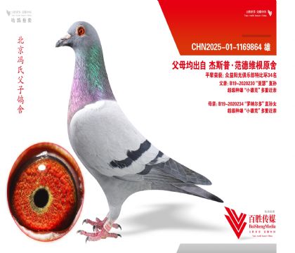 �������ۡ�С�¿ˡ����ػ�Ѫ-1169864