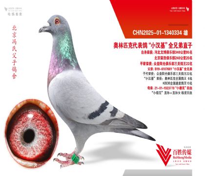 �ٽ���ֲ�20�����Ĳ����ֲ�95��-1340334