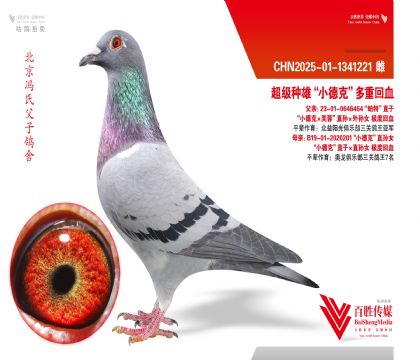 ˫����ȫ�ܡ����ء�ֱ��Ů-1341221