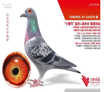 ��Сӥ�š�ֱ���ֱ��Ů ���Ȼ�Ѫ-1341223