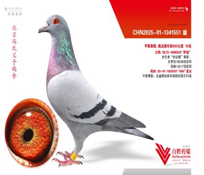 ������������ȫ���Ǿ��������¡�ȫ�ֵ�ֱ��-1341551