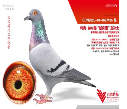 ���¡�����ƥ����ӥ��ֱ��Ů-1627495