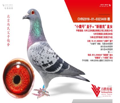 ��������Сӥ�š�ֱ��Ů-0323408