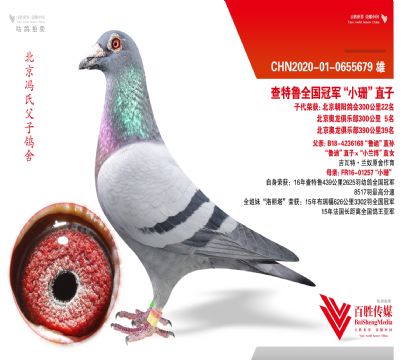 ��������22�����������ֲ�5����39��֮��-0655679