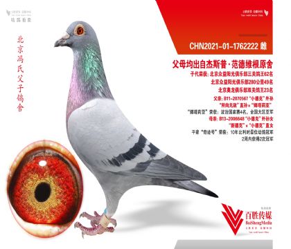 �����������ظ���62��֮ĸ-1762222