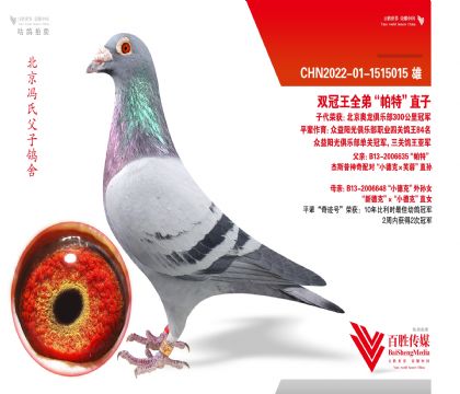 �������ֲ��ھ�֮�������ء�ֱ��-1515015