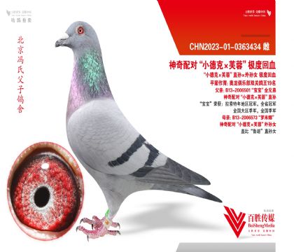 ��С�¿ˡ�ܽ�ء�ֱ�������Ů ���Ȼ�Ѫ-0363434