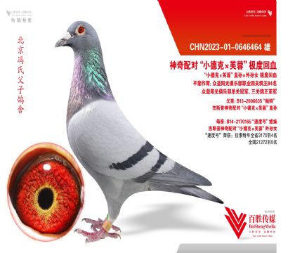 ˫����ȫ�ܡ����ء�ֱ��-0646464