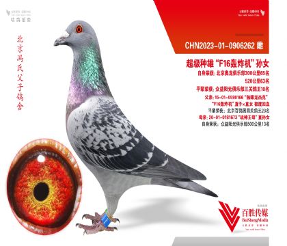 �������ֲ�63����65����F16��ը����ֱ��-0906262