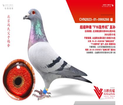 �������ֲ�39������F16��ը����ֱ��-0906266