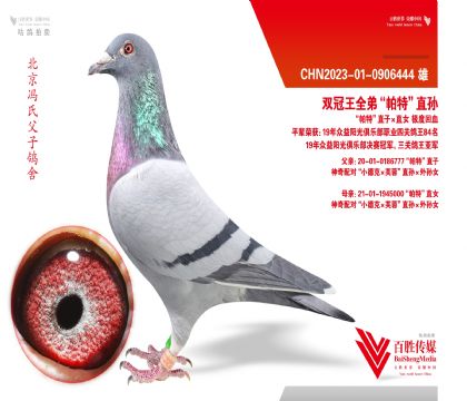 ˫����ȫ�ܡ����ء�ֱ�ӡ�ֱŮ ���Ȼ�Ѫ-0906444