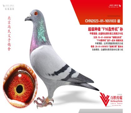 �������ۡ�F16��ը����ֱ��-1651033