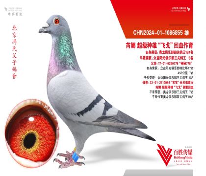 �������ֲ��Ĺظ���124��-1086855