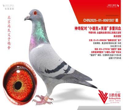 ��С�¿ˡ�ܽ�ء����ػ�Ѫ-0061307