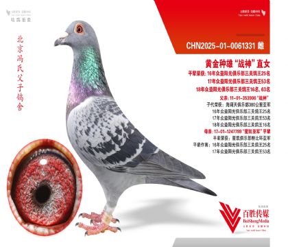 ��������ս��ֱŮ-0061331