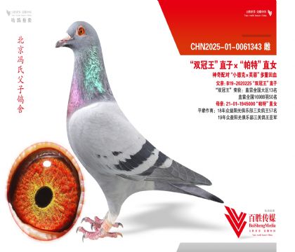 ��˫������ֱ�ӡ������ء�ֱŮ ���Ȼ�Ѫ-0061343