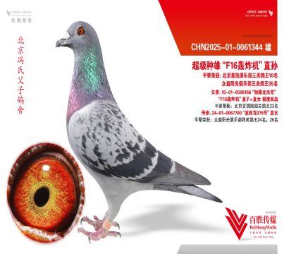 �������ۡ�F16��ը����ֱ��-0061344