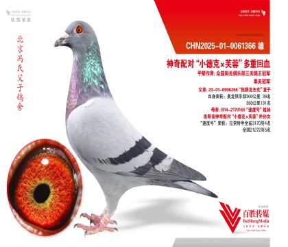 ��С�¿ˡ�ܽ�ء����ػ�Ѫ--0061366