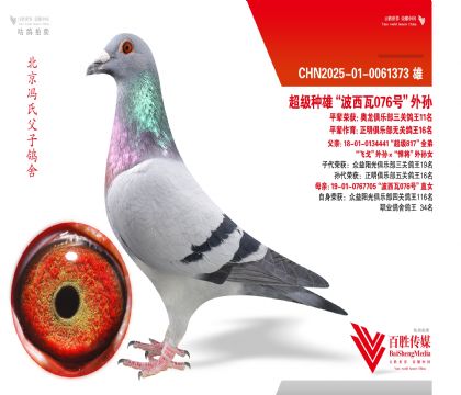 ���ȡ��ɸꡱ��Ѫ����-0061373