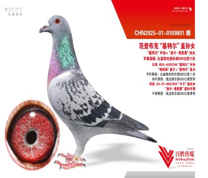 ���ǲ��ˡ����ض����������塱-0109801