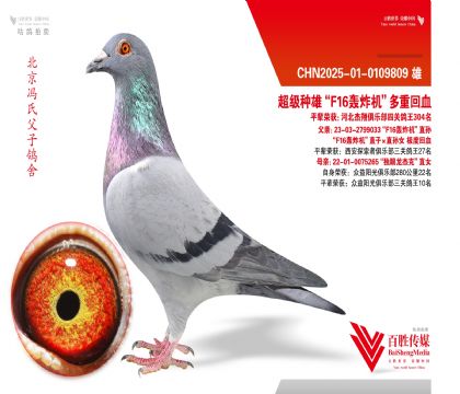 ��F16��ը����ֱ���ֱ��Ů ���Ȼ�Ѫ-0109809