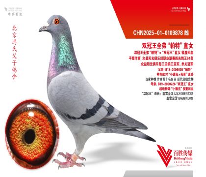 ˫����ȫ�ܡ����ء�ֱŮ-0109878