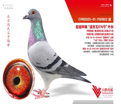 ���ȡ��ɸꡱ��Ѫ����-1169852