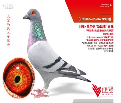 ���¡�����ƥ����ӥ��ֱ��-1627496