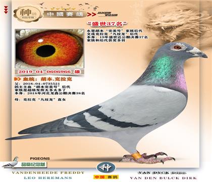 直子-盛世达37名