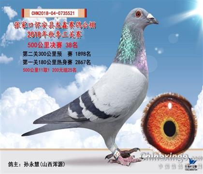 公棚获奖的原始照片