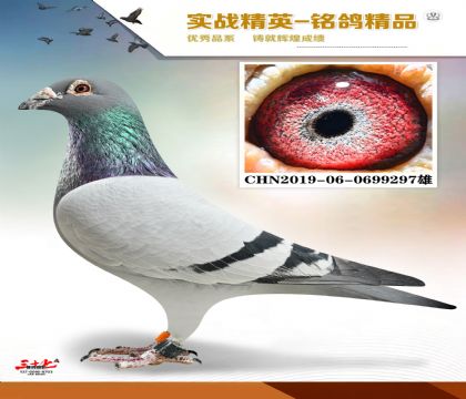 MEITU_20260126_064949877