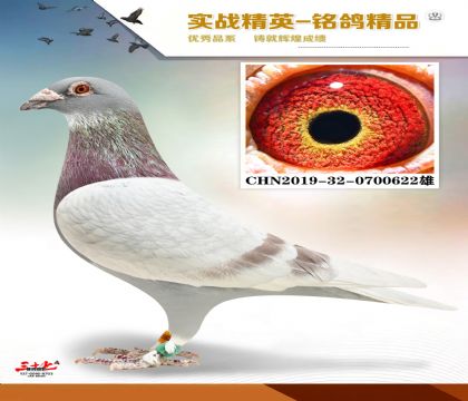 MEITU_20260126_065009292