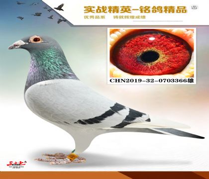 MEITU_20260126_065026133