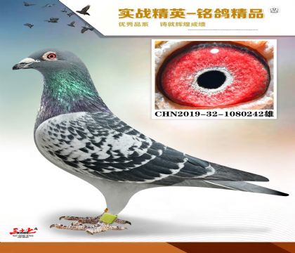 MEITU_20260126_065048262