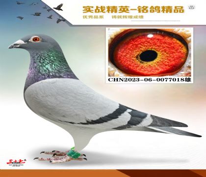 MEITU_20260126_065125187