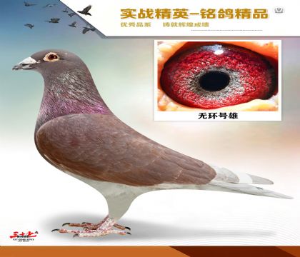 MEITU_20260126_065201694